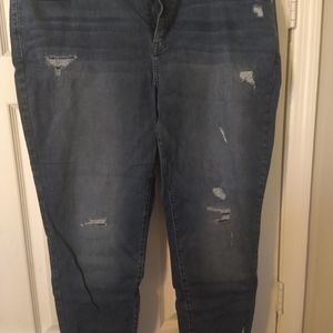 Lane Bryant Skinny jeans